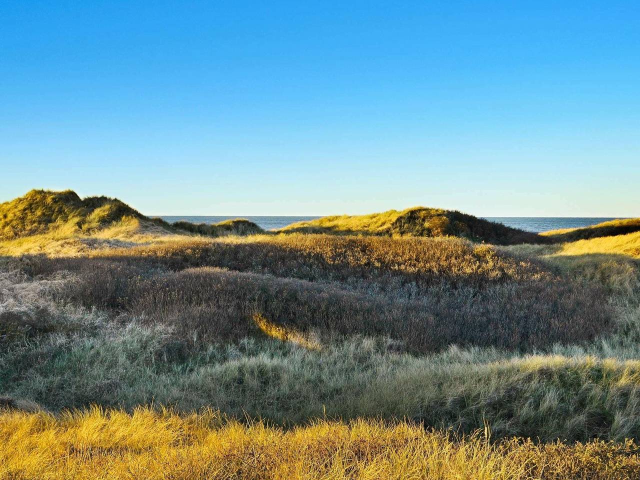 14 Personen Ferienhaus in Løkken-By Traum in Kettrup Bjerge, Hjørring und Umgebung