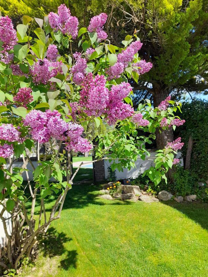 Maison de vacances pour 10 personnes, avec jardin et vue - 1