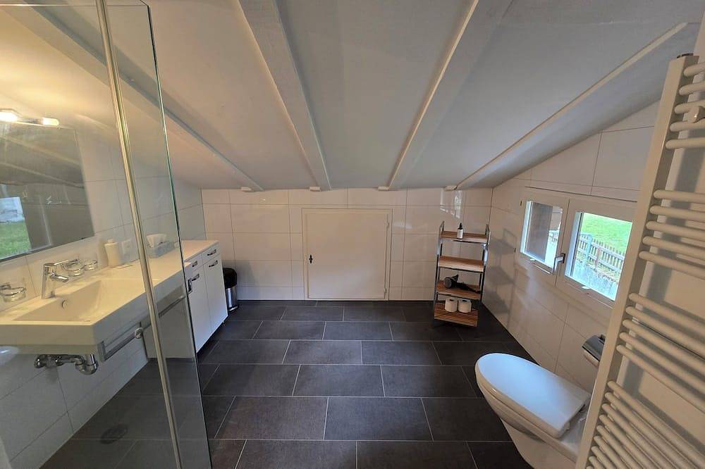 Ganze Wohnung, Charming Louisa Roof in den Schweizer Bergen in Sedrun, Tujetsch