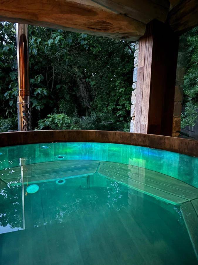 Gîte pour 3 personnes, avec jardin ainsi que piscine et jacuzzi à Bouillargues - 4