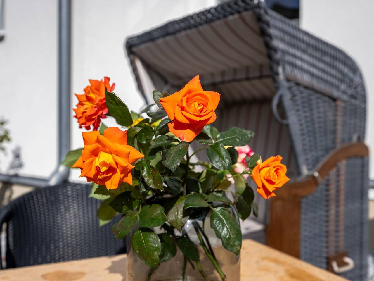 Ganze Ferienwohnung, Appartements Villa Glückspilz Ofc 27 - Appartement Meeresrauschen in Ostseebad Kühlungsborn, Kühlungsborn