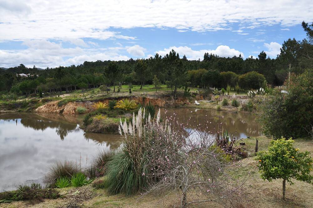 Quinta da Tosca, Rogil, Antiga quinta Aljezur com apartamentos para 2-14 pessoas in Rogil, Distrito de Faro