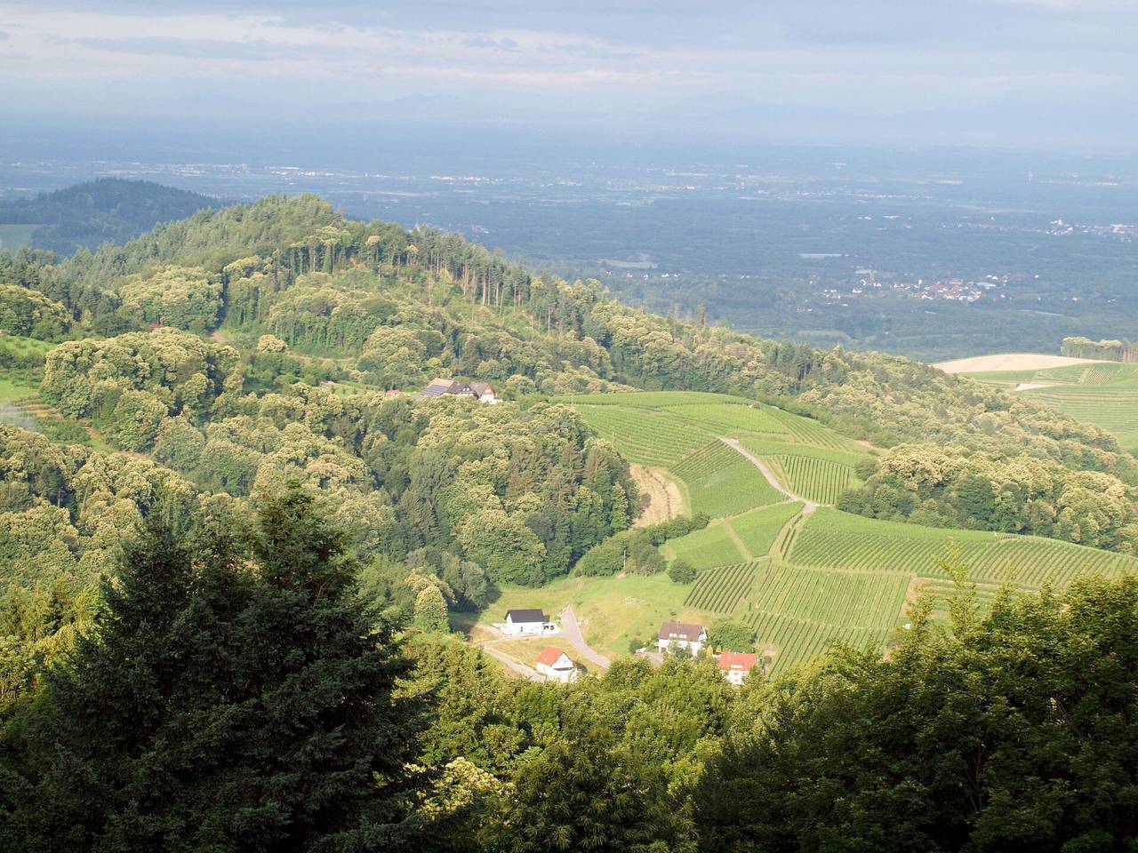 Ganze Wohnung, Tillisch - Tillisch 603.1 in Sasbachwalden, Mittlerer Schwarzwald