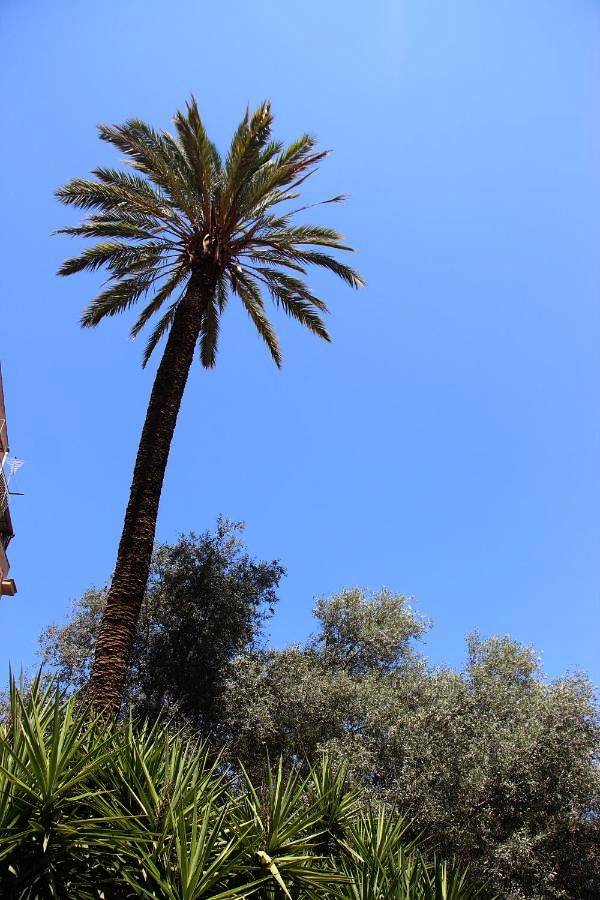B&B für 3 Personen, mit Garten und Ausblick, kinderfreundlich in Palermo - 3