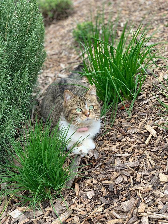 Gîte pour 8 personnes, avec vue et jardin à Saint-Loup-Géanges - 2