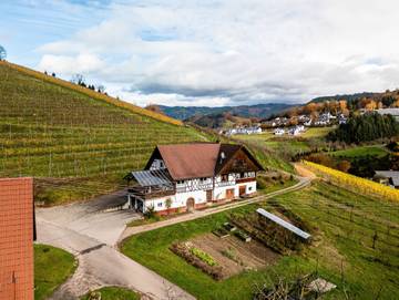 Ferienwohnung für 4 Personen in Oberkirch, Mittlerer Schwarzwald, Bild 1