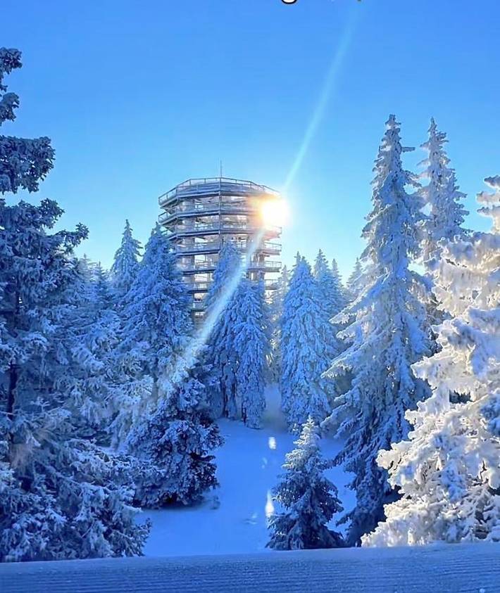 Gîte pour 5 personnes à Zagorje ob Savi