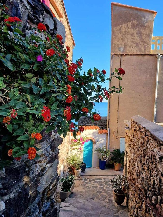 Gîte pour 3 personnes, avec terrasse dans Eglise Notre Dame Des Anges De Collioure