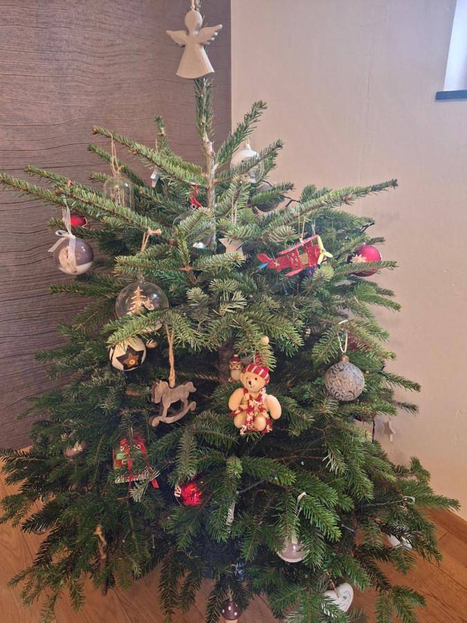 Chambre d’hôte pour 2 personnes, avec jacuzzi et jardin à Stavelot - 4