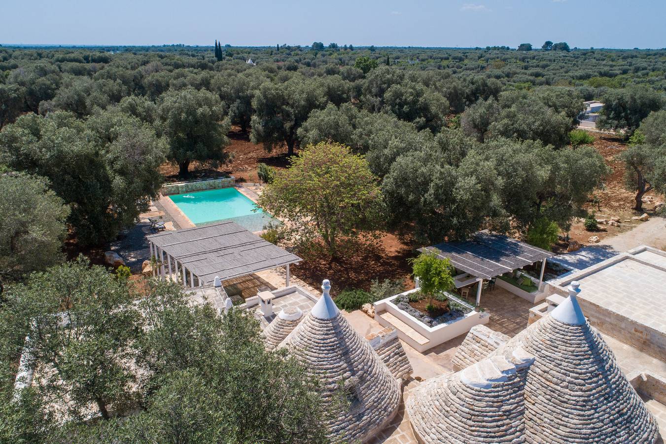 Trulli, cicale e olive in Ceglie Messapica, Salento