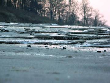 Ferienpark für 6 Personen in Koserow, Usedom, Bild 3