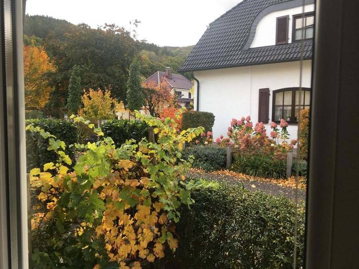 Ferienwohnung für 4 Personen, mit Terrasse, mit Haustier in Bad Neuenahr - 4