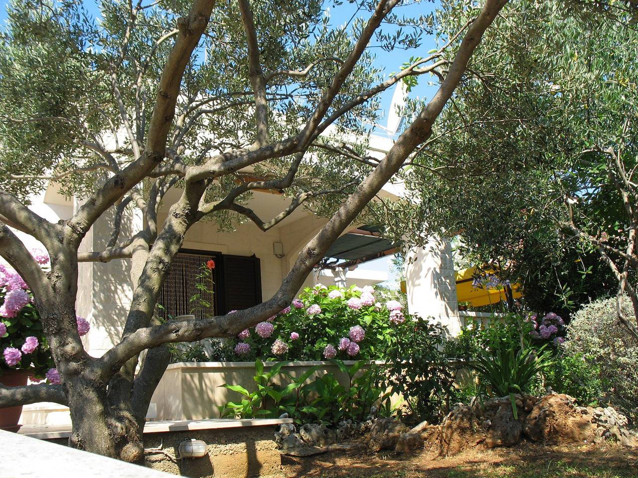 House Vinka in Selca, Povlija, Selca und Sumartin