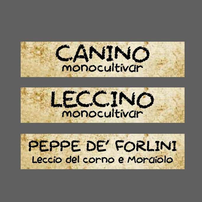 Superior Family Room in Pitigliano, Grosseto Provinz