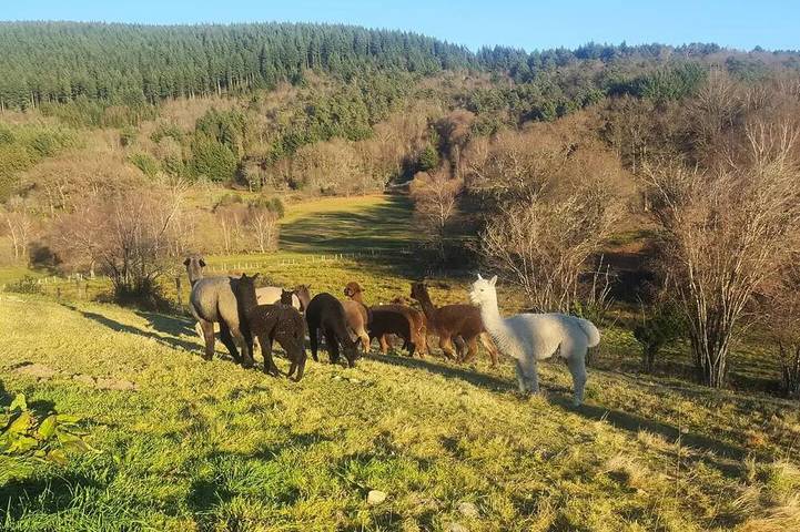 Location de vacances pour 6 personnes à Chaumeil