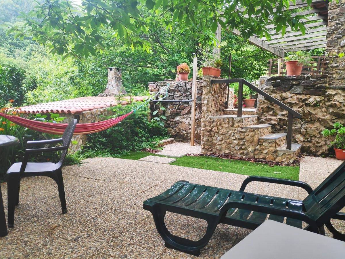 Refúgio Romântico- Casa de Xisto na Serra da Lousã in Serra da Lousã