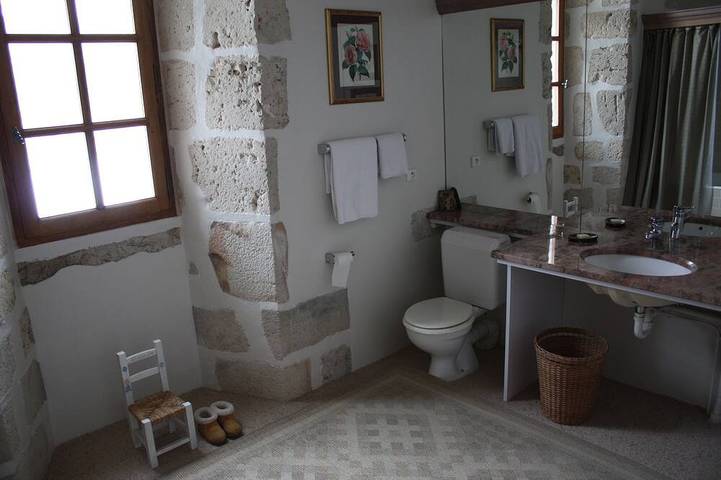 Château pour 20 personnes, avec sauna et jardin dans Eure-et-Loir - 3