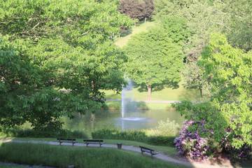 Ferienhaus für 4 Personen in Elkeringhausen, Winterberg, Bild 4