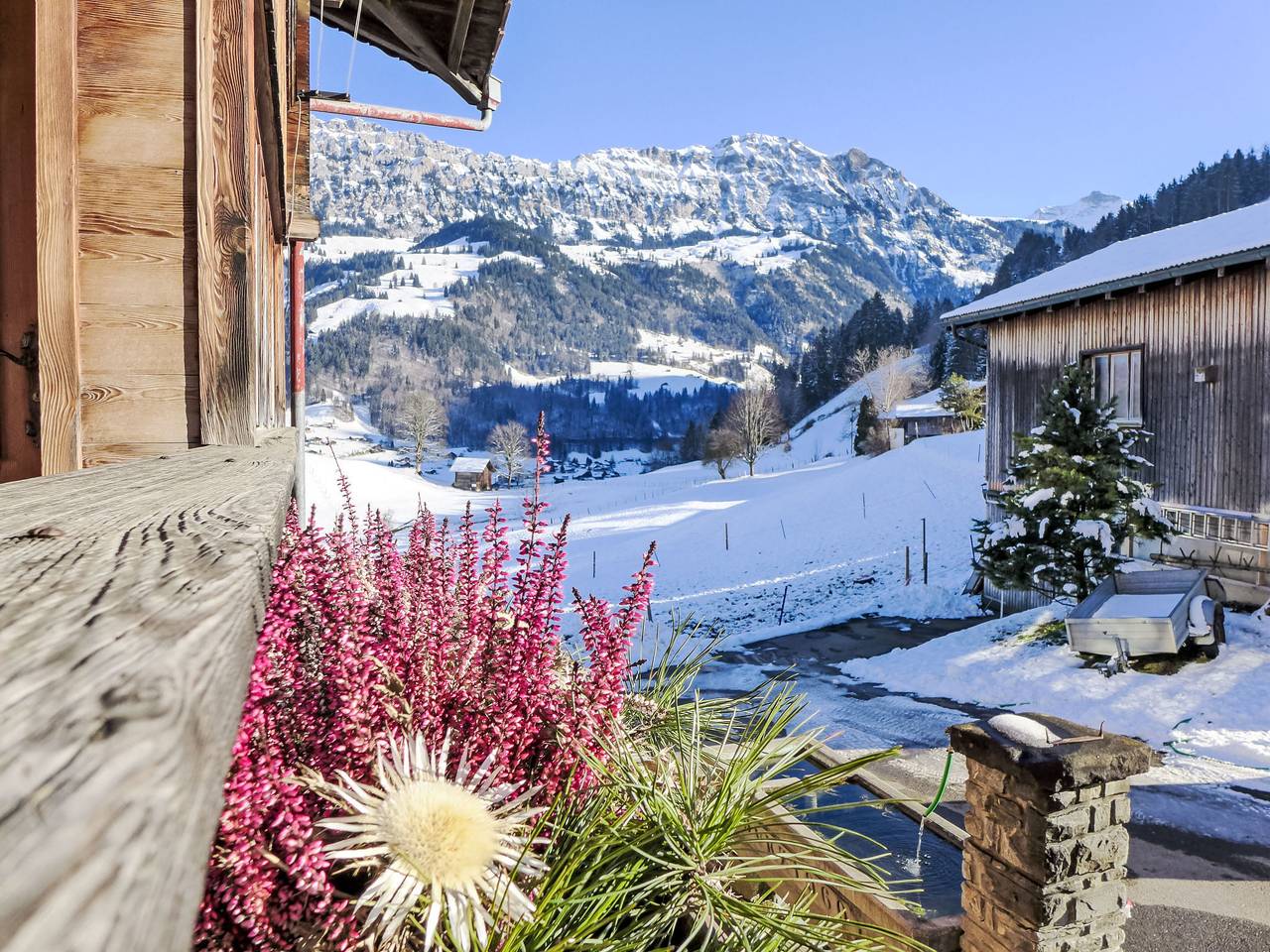 Ganze Wohnung, Reinisch in Frutigen, Frutigen - Lenk - Adelboden