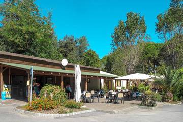 Bungalow per 4 Persone in Massa, Versilia, Foto 3