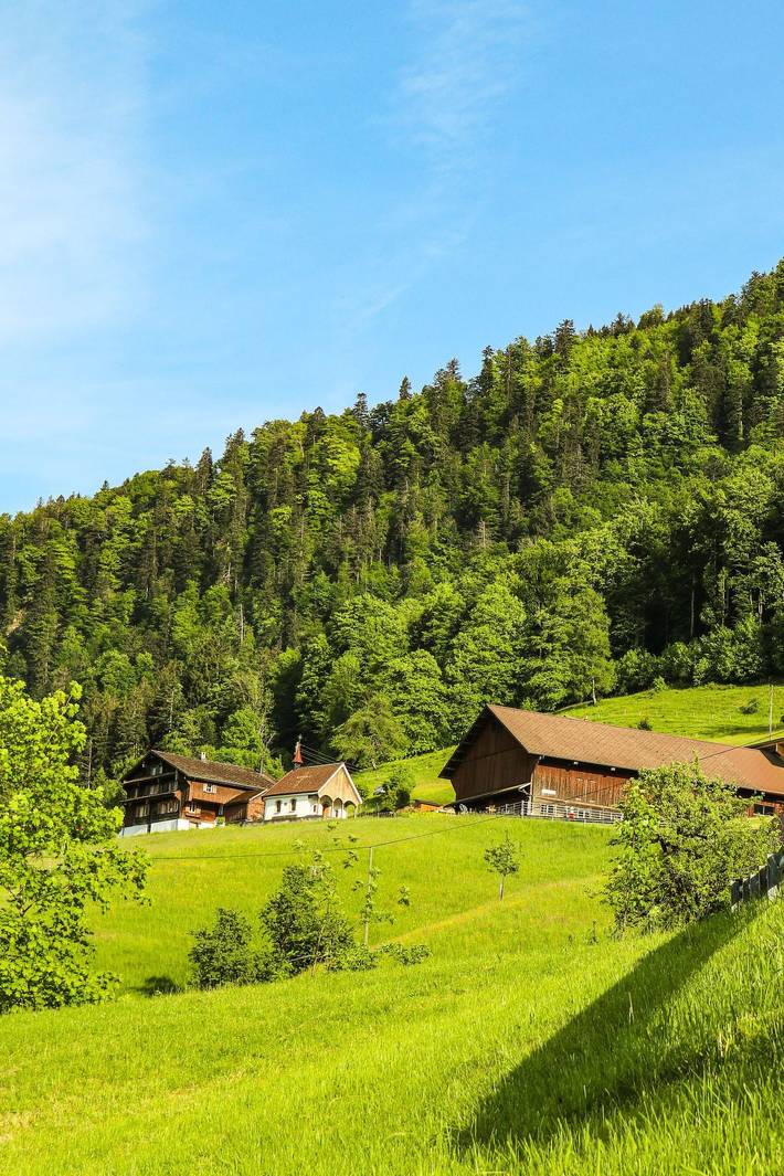 Ganze Wohnung, Biohof Langberg in Lauerz, Vierwaldstättersee