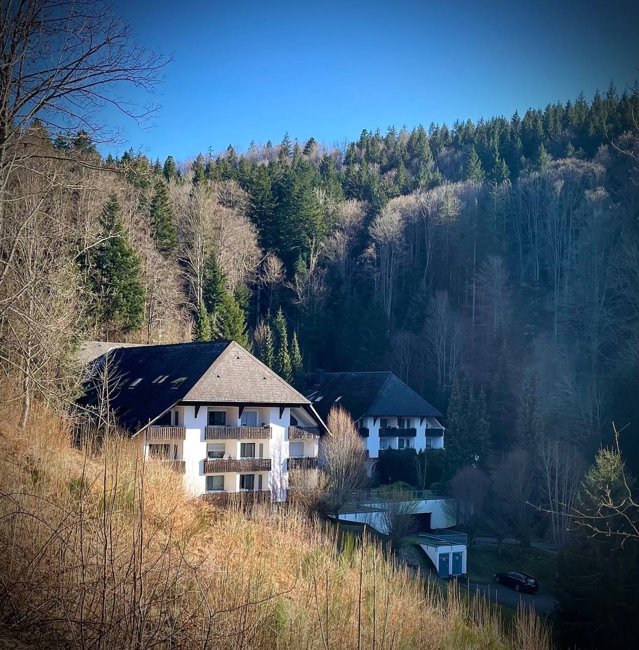 Ganze Wohnung, Ferienwohnung 'Riese' mit Balkon und Wi-Fi in Triberg, Südschwarzwald