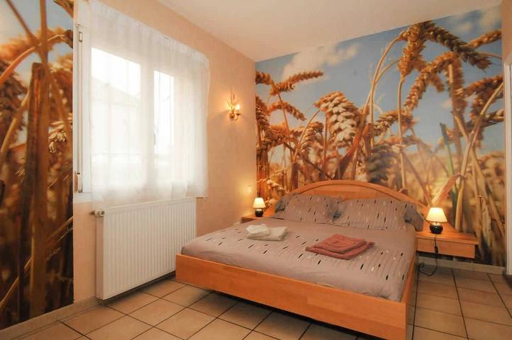 Gîte für 9 Personen, mit Pool und Terrasse sowie Garten in Champagne-Ardennen - 3