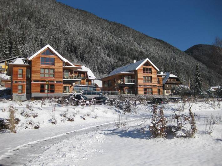 Ferienhaus für 3 Personen, mit Haustier am Weissensee - 2