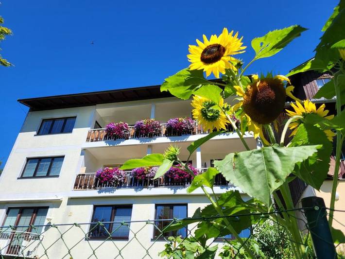 Ferienwohnung für 4 Personen, mit Ausblick und Terrasse, mit Haustier - 1