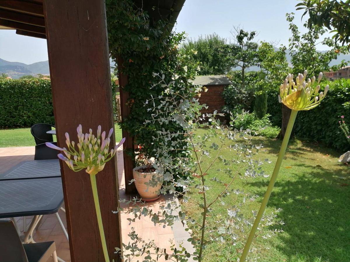 B&B Il Tiglio in Padula, Cilento