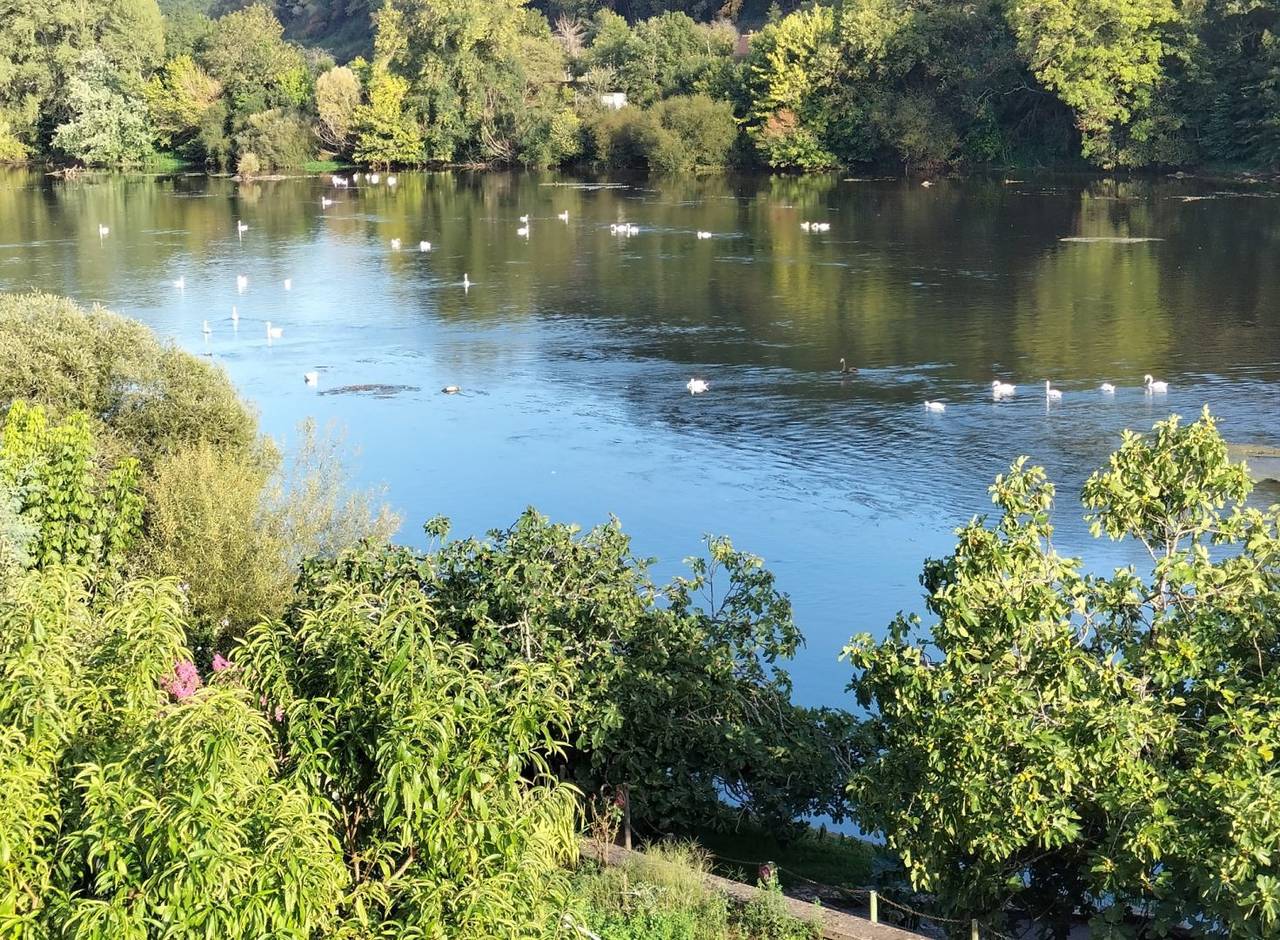 Le Gîte des Cygnes, au bord de la rivière Dordogne in Lalinde, Périgord Pourpre