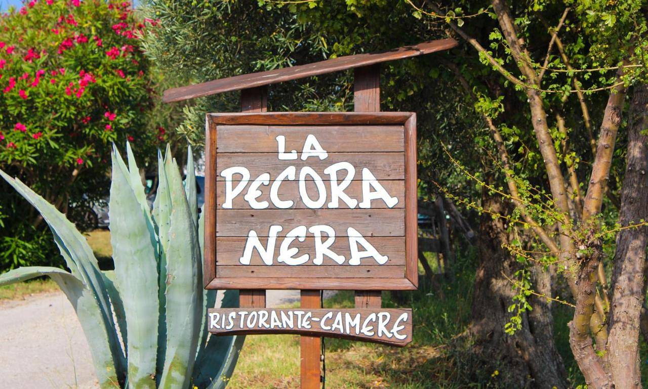 Country house pecora nera in Mosciano Sant'Angelo, Adriaküste Abruzzen