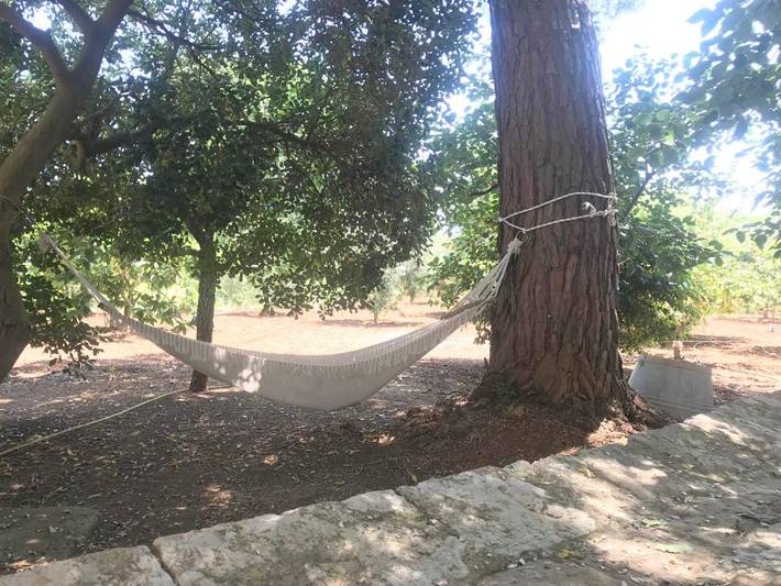 Maison de campagne pour 4 personnes, avec vue et jardin dans Ceglie Messapico - 2