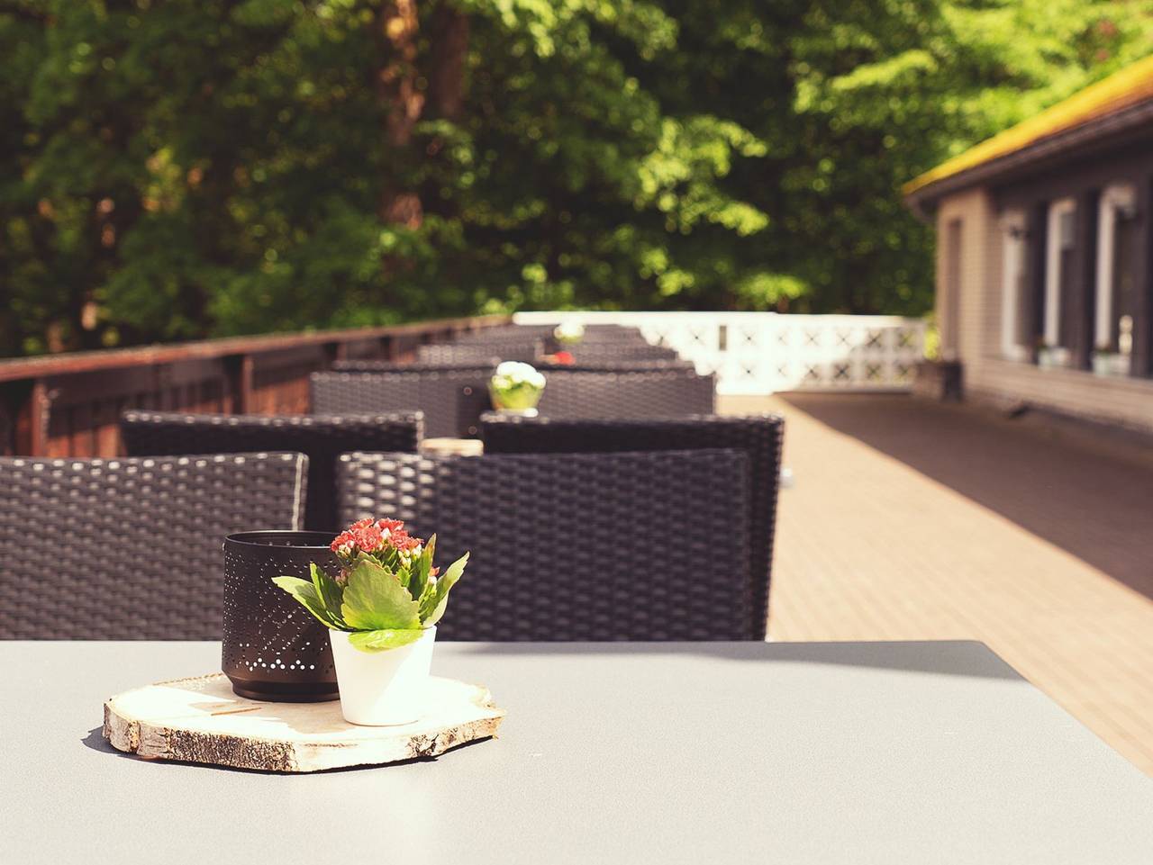 Hotel Mein Bergblick - Einzelzimmer Komfort in Goslar, Harzvorland