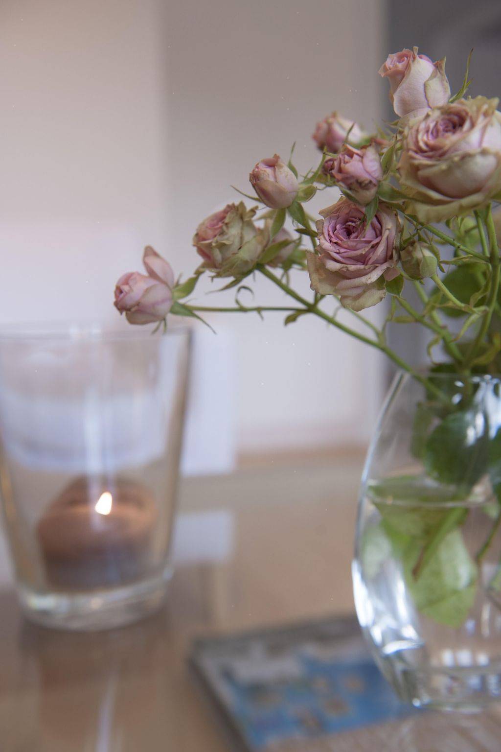 Ganze Wohnung, Wohlfühloase für Natur- und Gartenliebhaber in Walkenried, Harzvorland