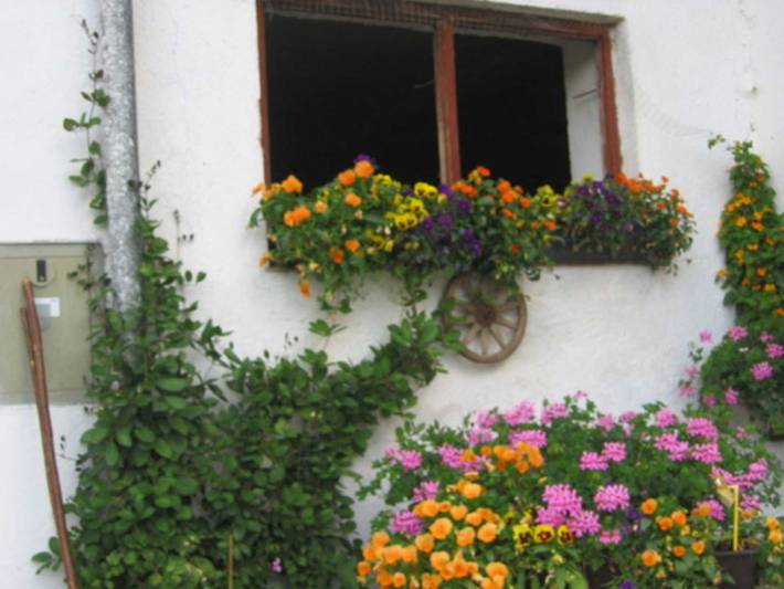 Ferienhaus für 3 Personen, mit Balkon und Terrasse sowie Garten in Fischbachau - 3
