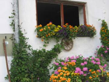 Ferienhaus für 4 Personen in Fischbachau, Bayerische Alpen, Bild 4