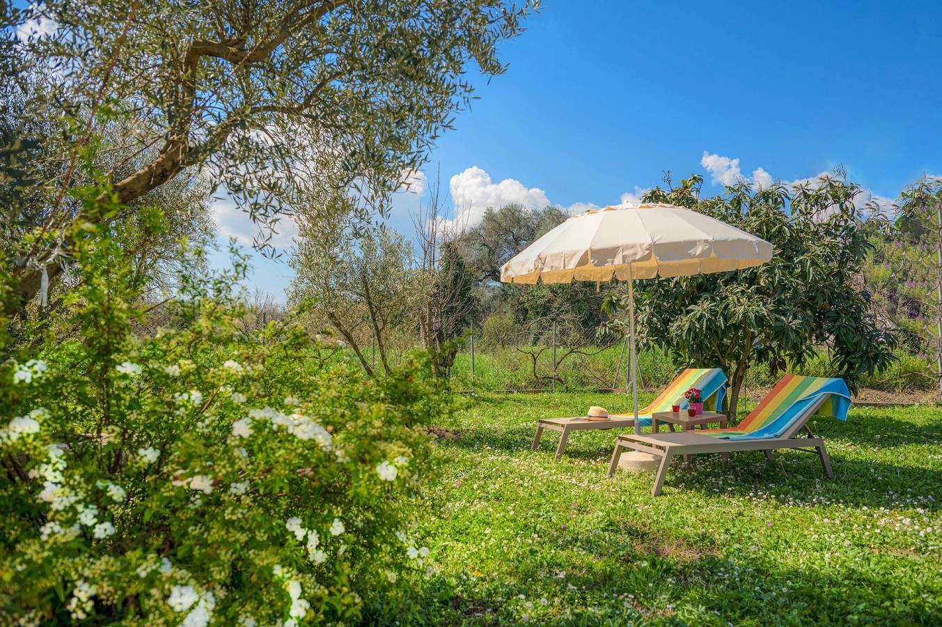 Casa vacanza a Corfù a partire da 121€ a notte