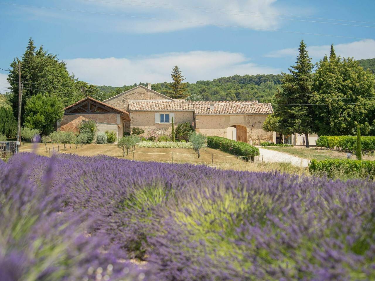 La Machotte - La Machotte 648.1 in Valréas, Enclave de Valreas