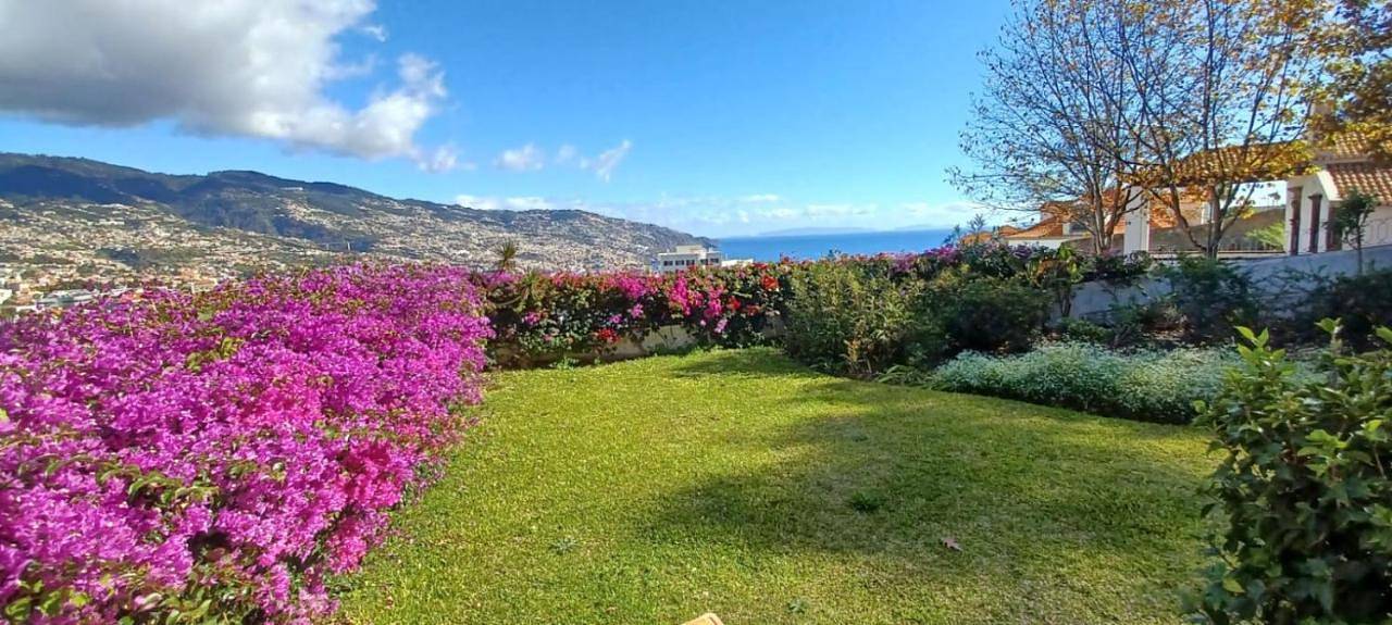 Belvedere Boutique - Adults only in São Martinho (desambiguação), Madeira