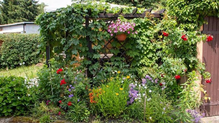 Ferienhaus für 6 Personen, mit Terrasse im Zittauer Gebirge - 3
