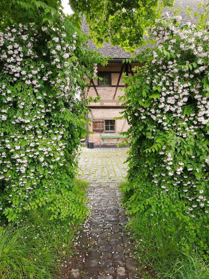 Hostel Feldkirch in Feldkirch, Bezirk Feldkirch