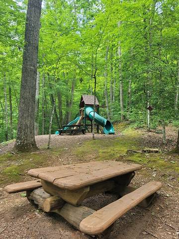 Log Cabin for 8 Guests in Fontana Lake, Swain County, Picture 1