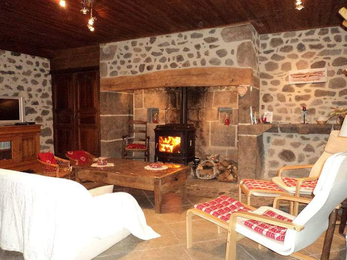 Gîte pour 11 personnes, avec jardin et terrasse dans le Cantal - 3
