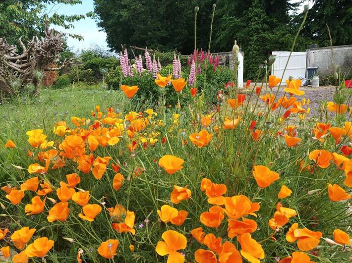 Location de vacances pour 2 personnes, avec vue et jardin à Crépon (Calvados) - 3