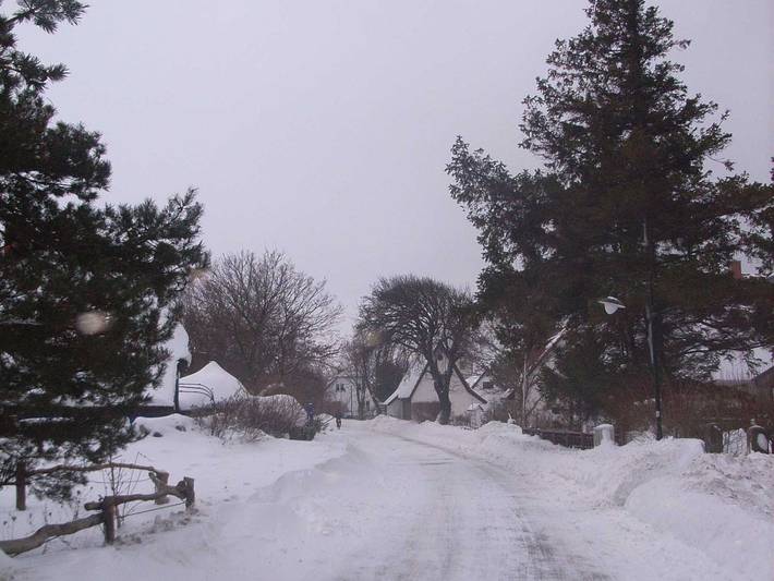 Ganze Ferienwohnung, Schreinerhaus - Ferienwohnung Schreinerhaus in Hiddensee, Vorpommern-Rügen