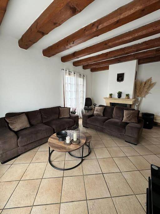 Location de vacances pour 10 personnes, avec jardin ainsi que piscine et terrasse dans Aéroport Lyon Saint-Exupéry - 2