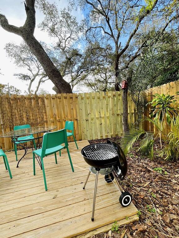 💙Blue flower (🦋Pet friendly) in Largo, Pinellas County