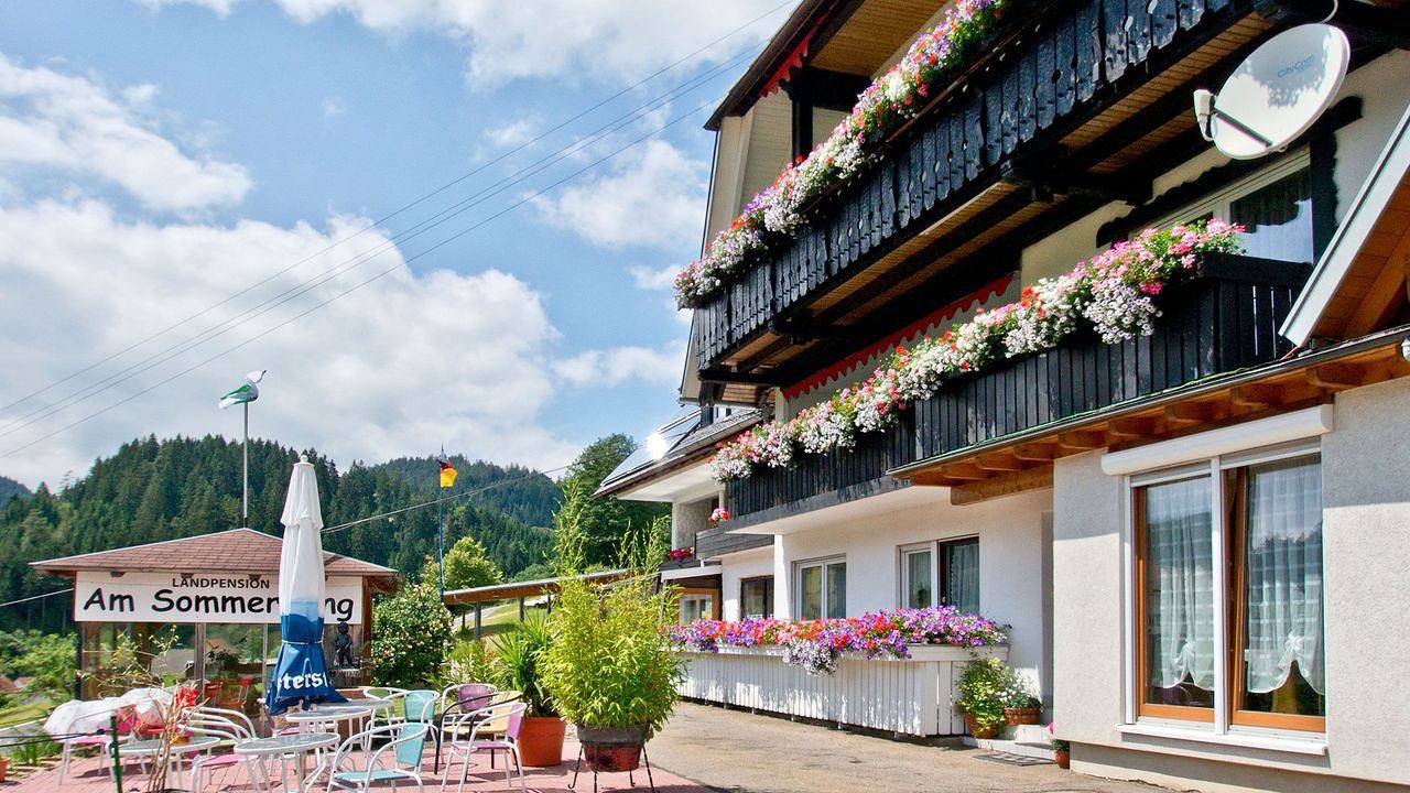 Ganze Ferienwohnung, Ferienwohnung für 4 Personen (60 m²) in Bad Rippoldsau-Schapbach in Bad Rippoldsau-Schapbach, Mittlerer Schwarzwald