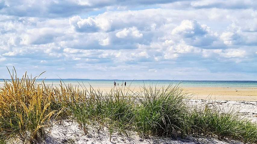 Ferienhaus für 7 Personen, mit Terrasse in Bønnerup Strand - 2